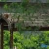 Отель Yunshang Grassland Fengsheng three time hot spring holiday villa, фото 24