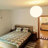 Отель Old Town Apartment Sibiu, фото 3