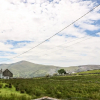 Отель Glan y Gors, фото 12