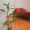 Отель Sok Phen Homestay, фото 33