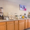 Отель Econo Lodge Inn & Suites Lodi - Wine Country Area, фото 13