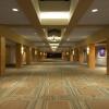 Отель Holiday Inn St Louis SW - Route 66, an IHG Hotel, фото 11