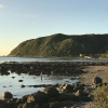 Отель Wellington Beach Suite, фото 32