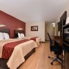 Отель Red Roof Inn PLUS+ Boston - Woburn/ Burlington, фото 15