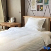 Отель Camphor Garden Hotel (Shanghai Hongqiao Airport), фото 4