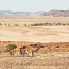 Отель Desert Whisper, фото 15