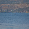 Отель Vik - 60 m From the sea - A3, фото 10