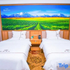 Отель Theme Hotel Turpan Camel Bell Winery, фото 3