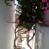 Отель The Large Bougainvillea House, фото 19