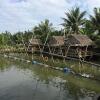 Отель Loc Phat Hoi An Homestay - Villa, фото 25