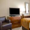 Отель Comfort Inn Syosset - Long Island, фото 6