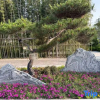 Отель Zhoukou City Guest House, фото 11