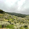 Отель Ephesus Retreat, фото 20