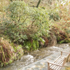 Отель Millstream, фото 12