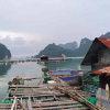 Отель Lanlay Homestay, фото 28