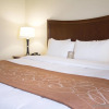 Отель Comfort Suites San Antonio North - Stone Oak, фото 5