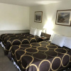 Отель Evergreen motel, фото 4
