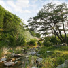 Отель Mungyeong Fox Pension, фото 20