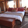 Отель Elephant Bedroom Camp - Samburu, фото 41