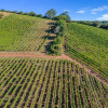 Отель Old Walls Vineyard, фото 29
