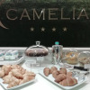 Отель Camelia, фото 5