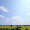 Отель City 1500 SF 2BR condom 4F sea view, фото 6