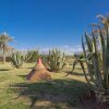 Отель L'Oliveraie de l'atlas, фото 39