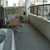 Отель KAGOSHIMA ILCA GUEST HOUSE - Hostel, фото 49