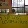 Отель The Lost Leprechaun Ecohostel, фото 2