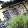 Отель Lavender - Restauracja i pokoje gościnne, фото 10
