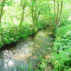 Отель The Pigsty & Spa Garden at Tregoose Old Mill, фото 16