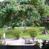 Отель Chambres d'Hôtes les Chenes, фото 9