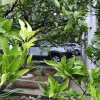 Отель Apartments Dalmatina Orebić, фото 8