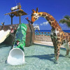 Отель Club Solaris Cancún - 5 Nights, Cancún, Mexico, фото 23