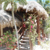 Отель Beach Guesthouse Holbox Apartments & Suites, фото 4