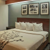 Отель Sleep Inn Lake Wright - Norfolk Airport, фото 4
