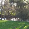 Отель Yea Riverside Caravan Park, фото 12