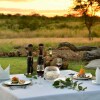 Отель Wildtrack Safaris Eco Lodge, фото 26