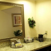 Отель Hampton Inn & Suites Lubbock Southwest, фото 33
