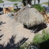 Отель The Barefoot Hideaway at Coconut Villas of Dunedinn - Two Bedroom Cond, фото 20