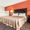 Отель Quality Inn & Suites, фото 3