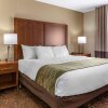 Отель Comfort Inn Okemos - East Lansing, фото 11