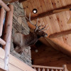 Отель Bear Foot Lodge 4 Bedrooms 4.5 Bathrooms Cabin, фото 9