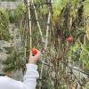 Отель Farmstay Ban Bua, фото 22