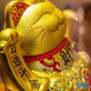 Отель Shi Ruo Hotel (Daocheng Yading Scenic Spot Tourist Center), фото 9