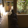 Отель Mewar Inn, фото 15