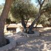 Отель El Encinal, фото 4