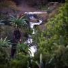 Отель Addo Palace Bush Huts, фото 10