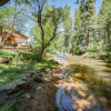 Отель Colorado Bear Creek Cabins, фото 44