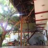 Отель Blue Mango Rooms & Villas в Палаван